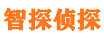 平谷资产调查